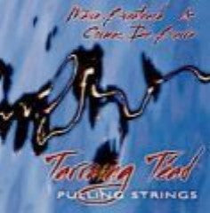Pulling Strings - Maire Breatnach & Cormac De Barra