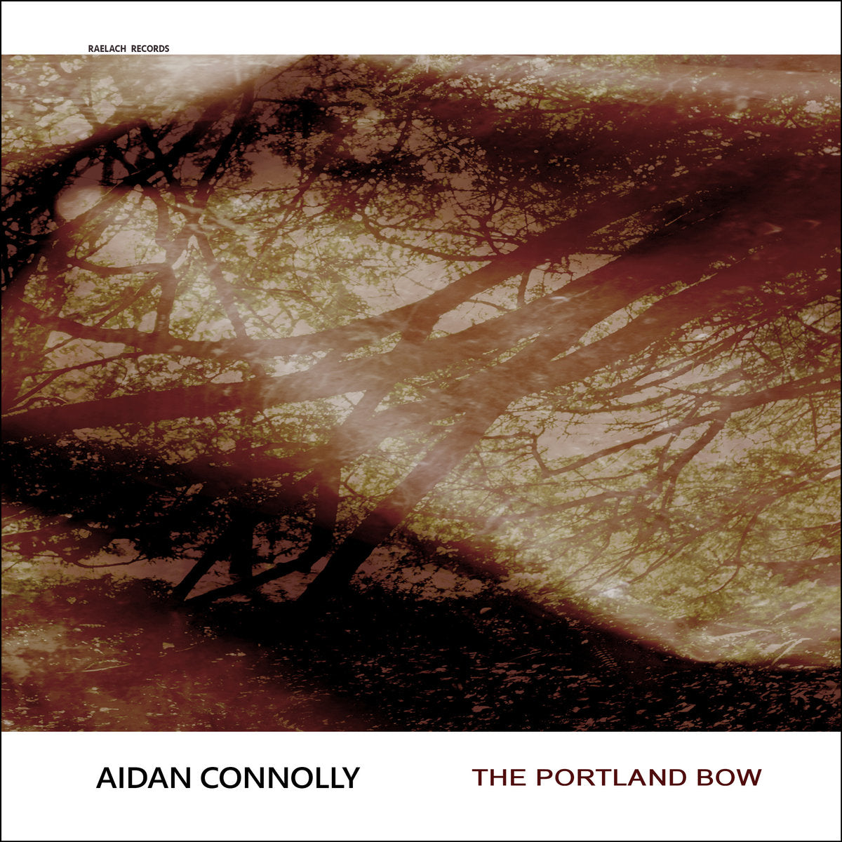 Album cover with tree branches and sunlight, featuring Aidan Connolly and 'The Portland Bow'.