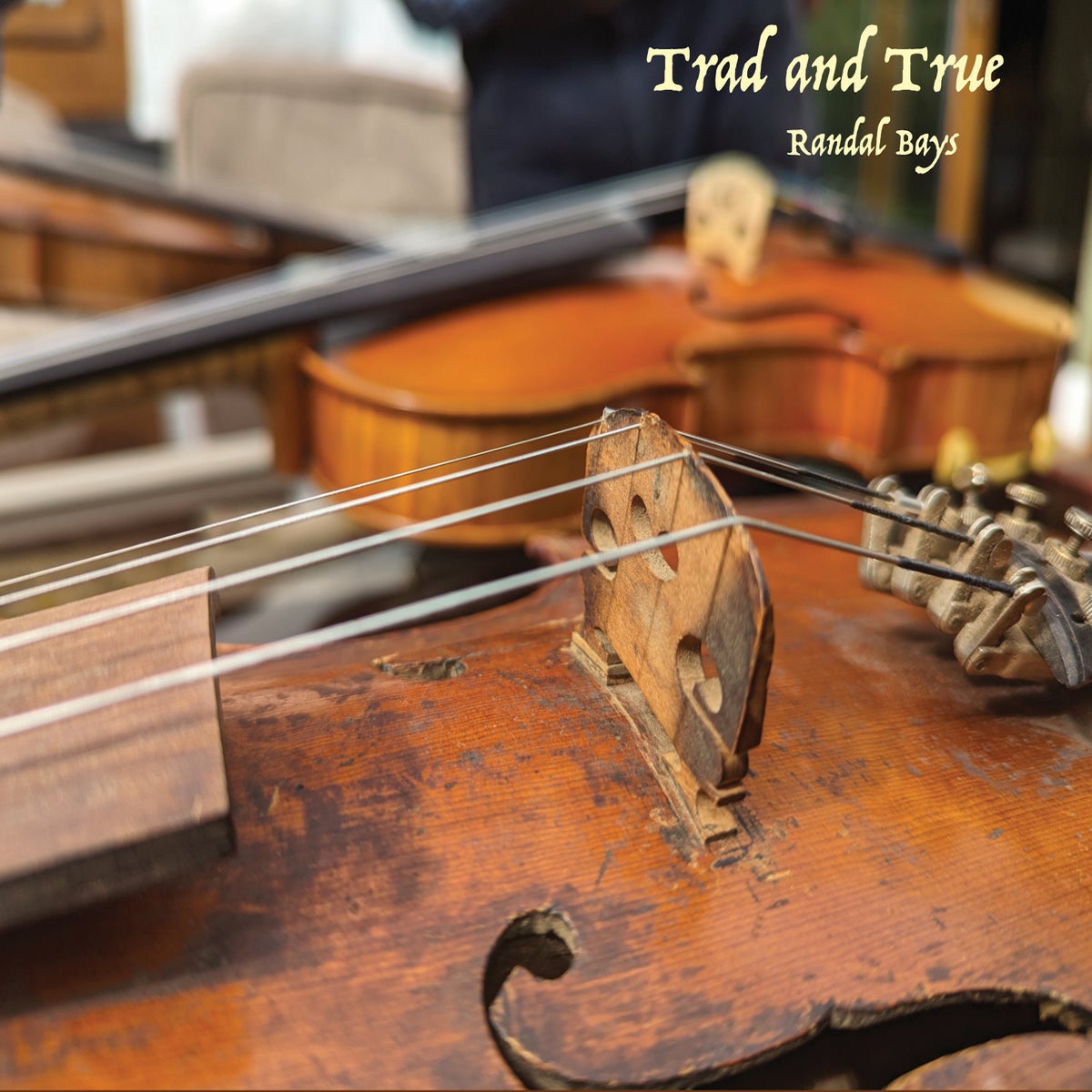 Close-up of a wooden string instrument with 'Trad and True Randal Bays' text.