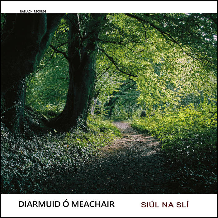 Siúl Na Slí - Diarmuid Ó Meachair